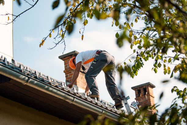 Best Residential Roofing Contractor  in North Browning, MT