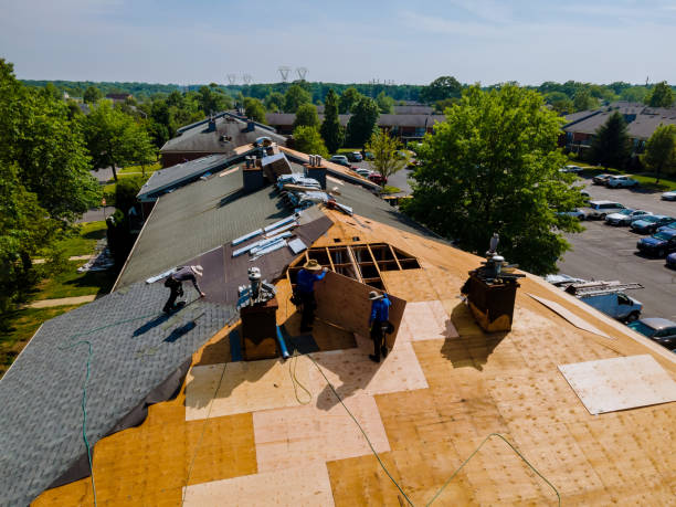 Best Commercial Roofing Services  in North Browning, MT