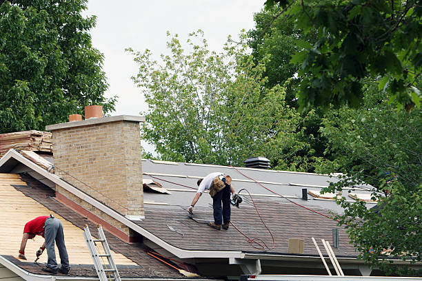 Best Metal Roofing Contractor  in North Browning, MT