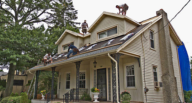 Best Metal Roofing Contractor  in North Browning, MT